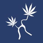 Confluence Cannabis