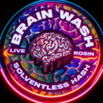 Brainwash Solventless